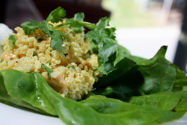 quinoamangoyogurtcurry2