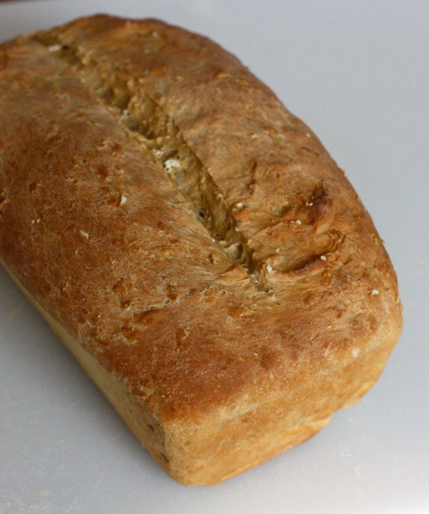 Oatmeal Bread