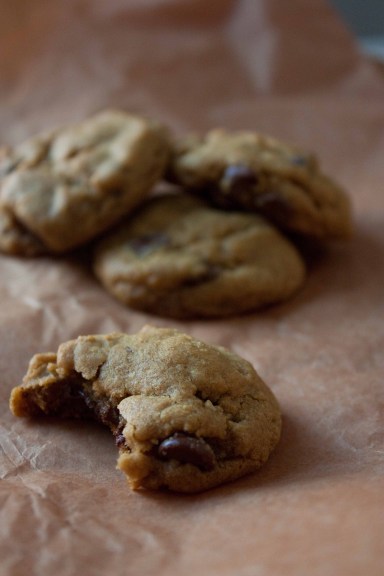 gingerchocolatechipcookies1