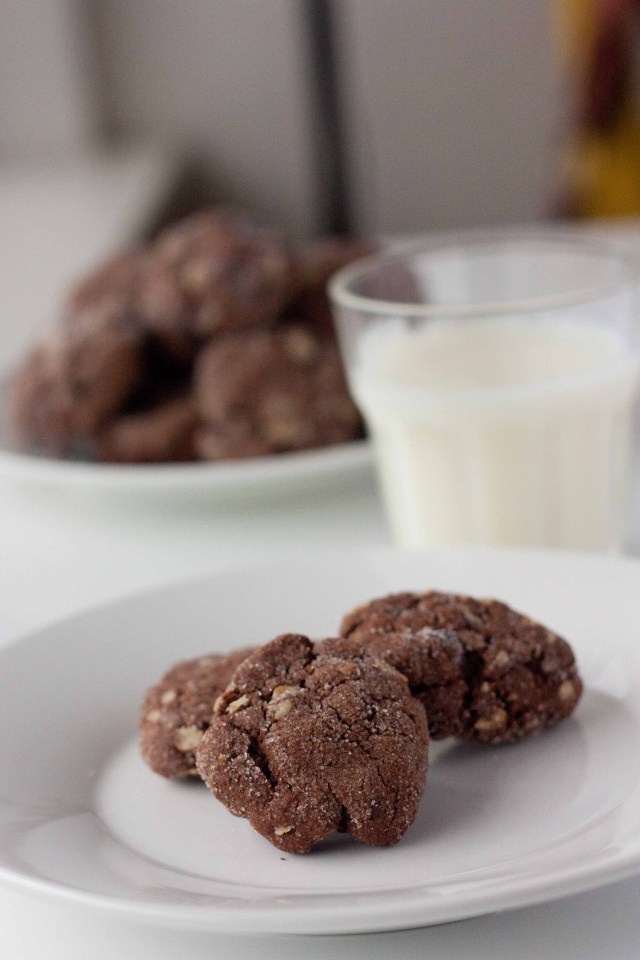 Double Chocolate Oatmeal Peanut Butter Cookies