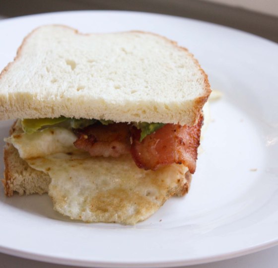 eggbaconavocadosandwich2
