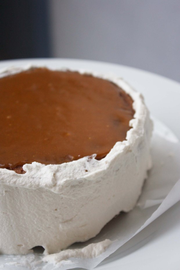 partiallyfrostedcake