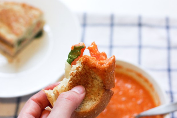 brietomatoebasilgrilledcheese4