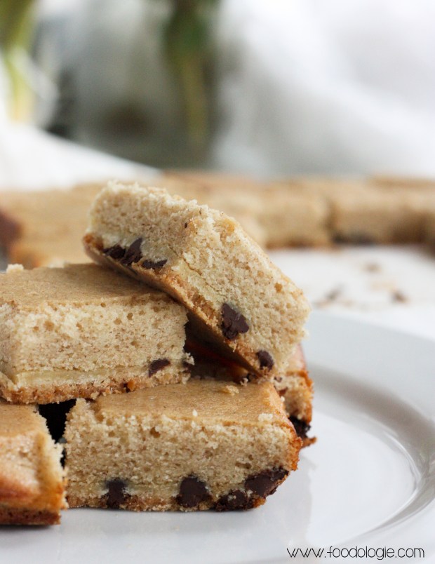 chocolatechipsnickerdoodlebars1