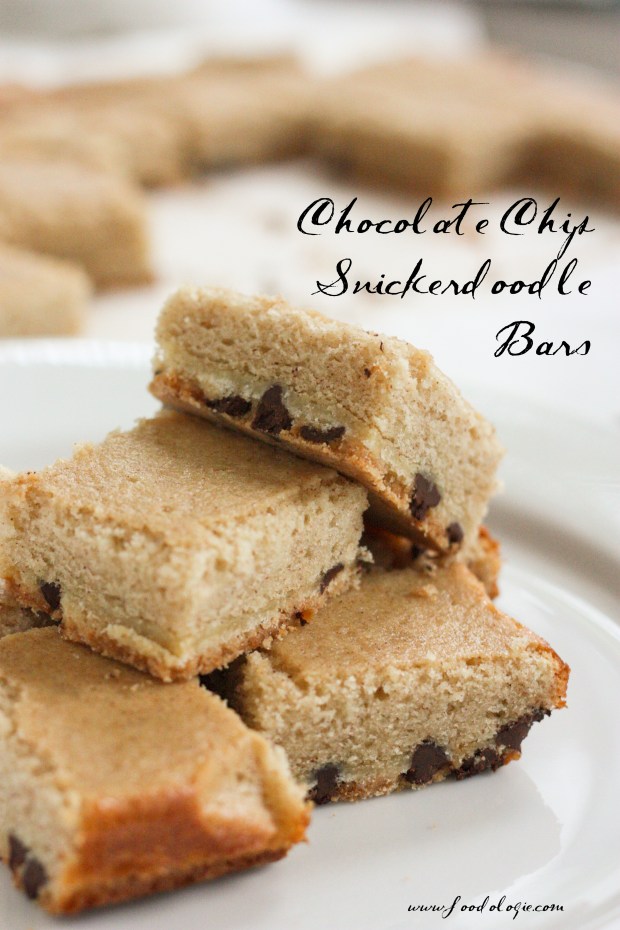 chocolatechipsnickerdoodlebars2