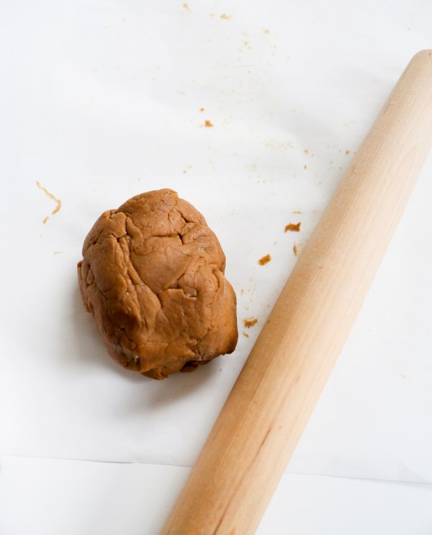 gingerbreaddough1