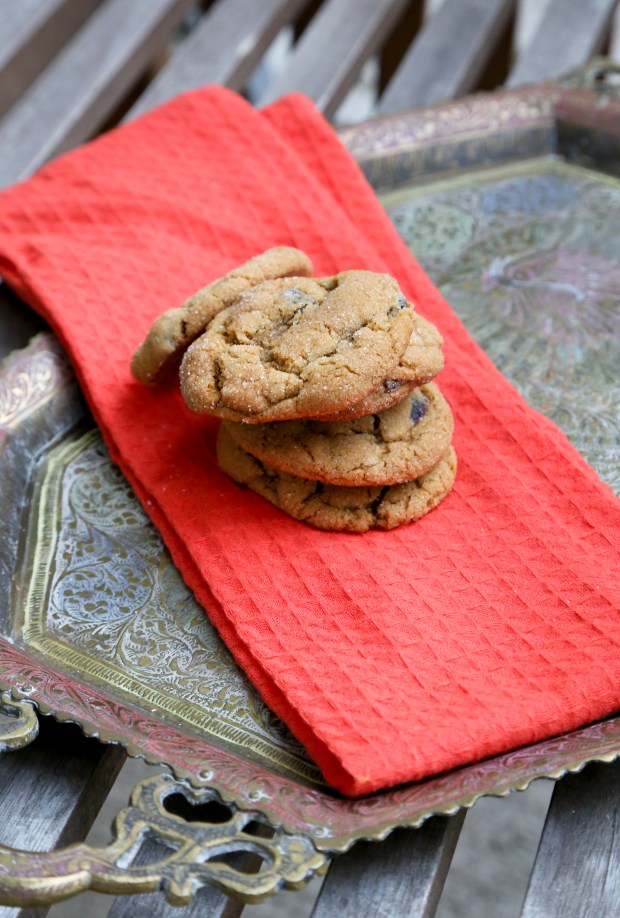 Molasses Cranberry Cookies2