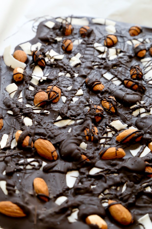 saltedalmondjoybark2