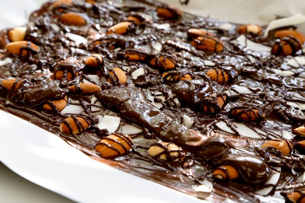 saltedalmondjoybark3