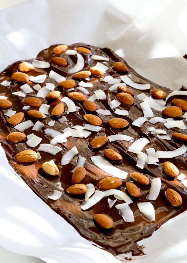 saltedalmondjoybark4