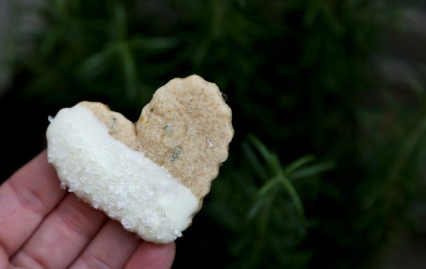 lemonrosemarycookies1