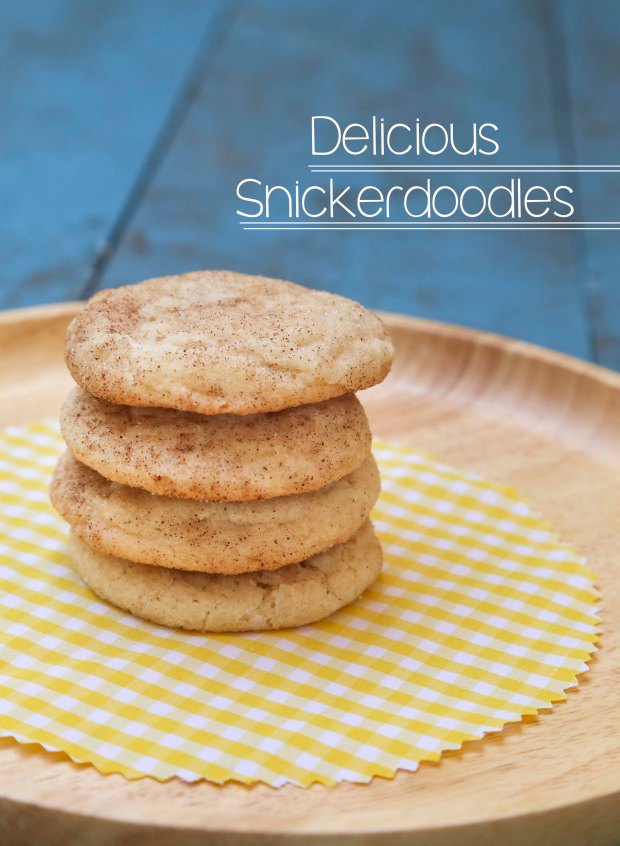 delicioussnickerdoodles1