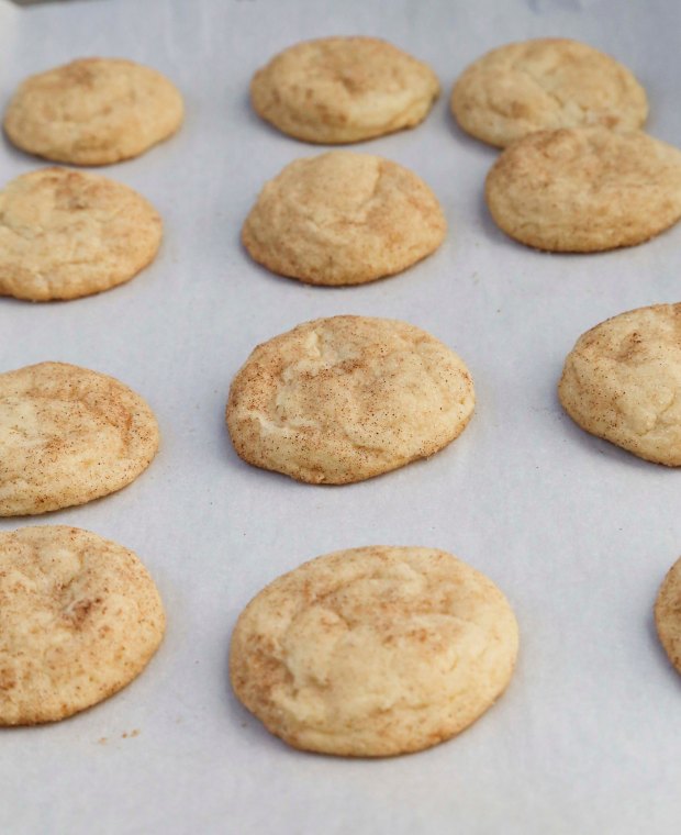 delicioussnickerdoodles2