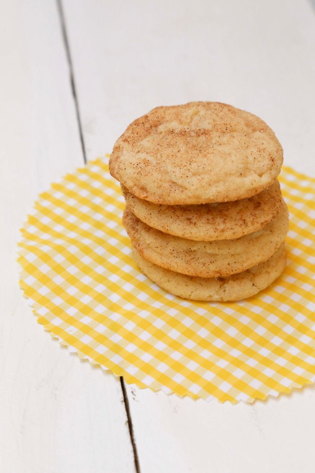 delicioussnickerdoodles3