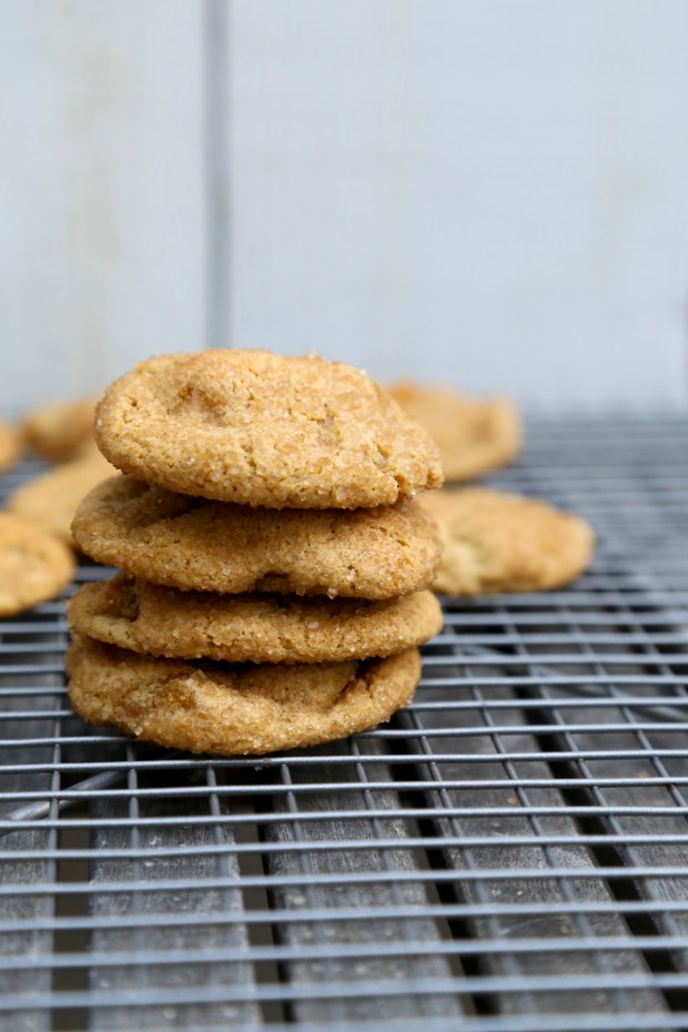 MolassesGingerApricotCookies2