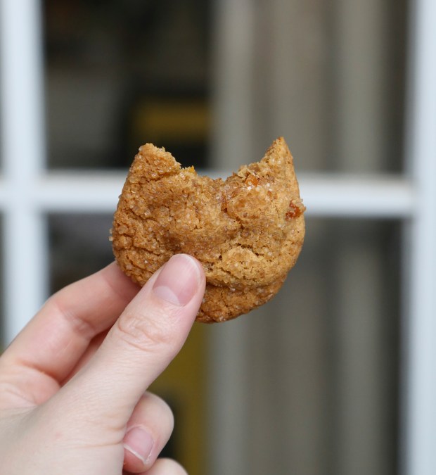 MolassesGingerApricotCookies3