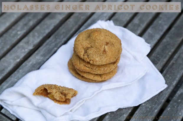 MolassesGingerApricotCookiestext