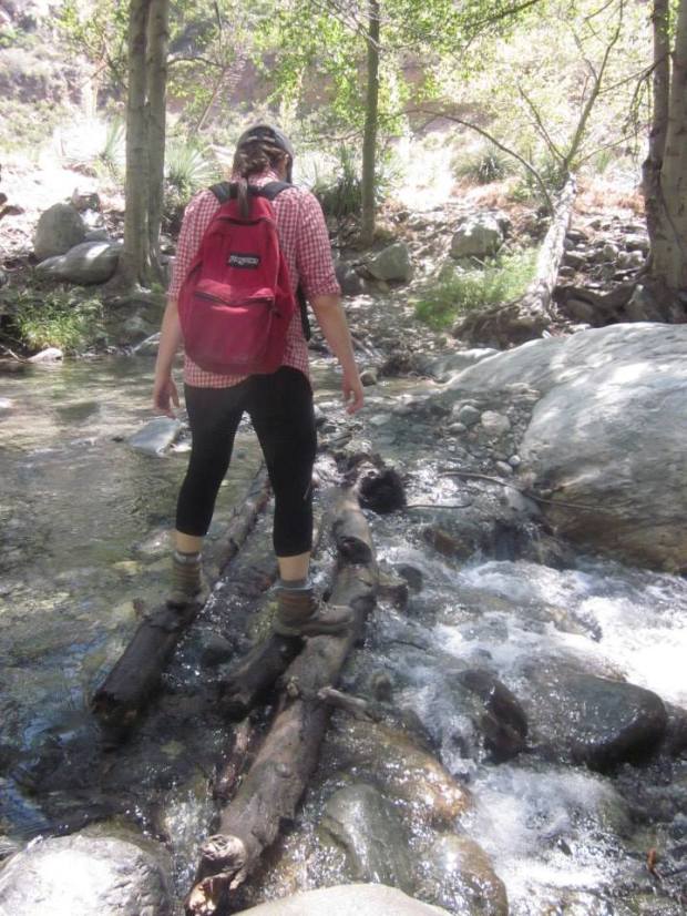 10330272_10103153063966343_3890541291378493148_n