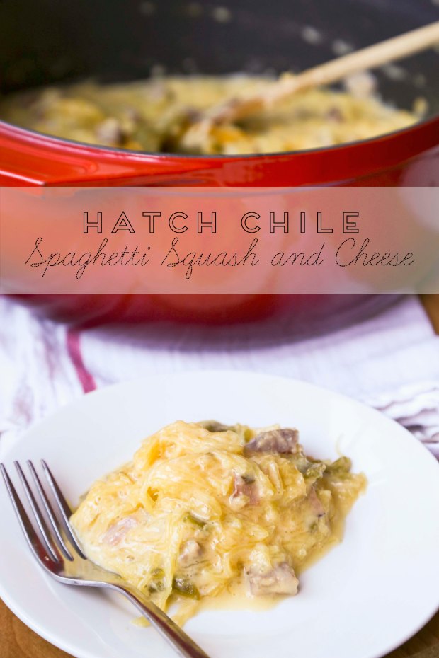hatchspaghettisquashandcheesetext