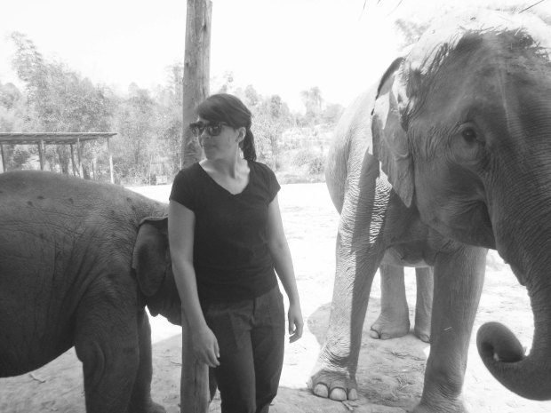 hangingwithelephants