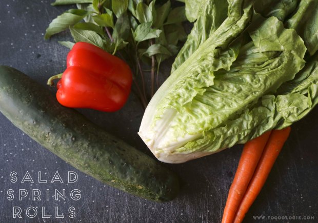 salad spring rolls1